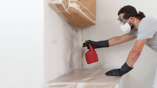 Professional Bathroom Mold Removal technician working in Mattawan, MI