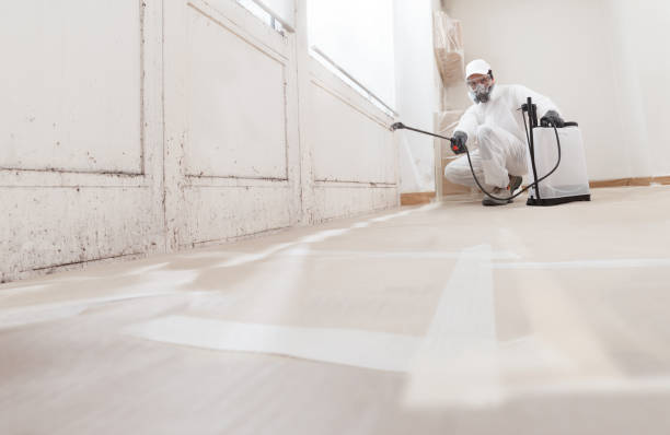 24/7 Emergency Bathroom Mold Removal experts in Mattawan, MI