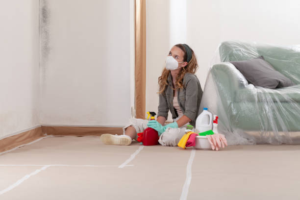 Reliable Bathroom Mold Removal contractor in Mattawan, MI by Car Mold Remediation